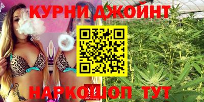 крисы Малгобек